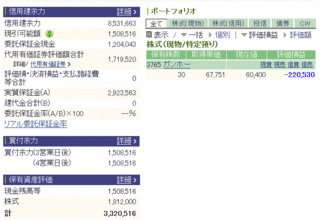 1102保有銘柄と資産.gif